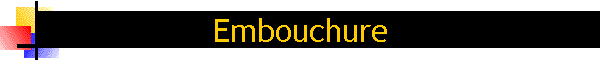 Embouchure