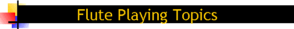 Flute Playing Topics